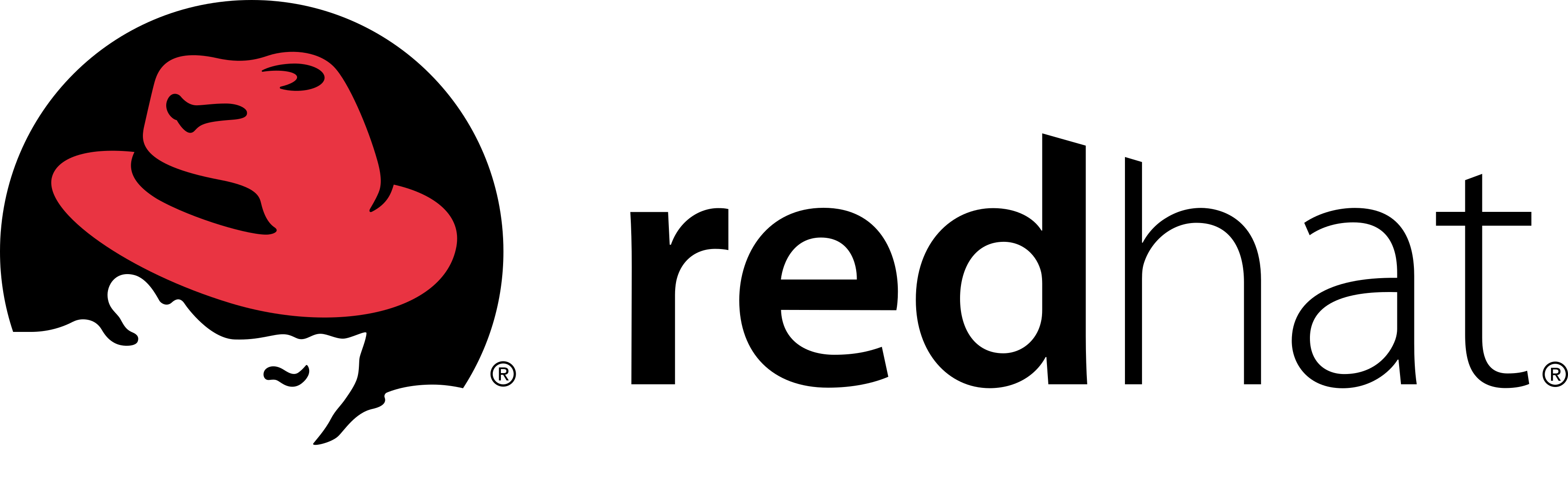 Red Hat Logo.