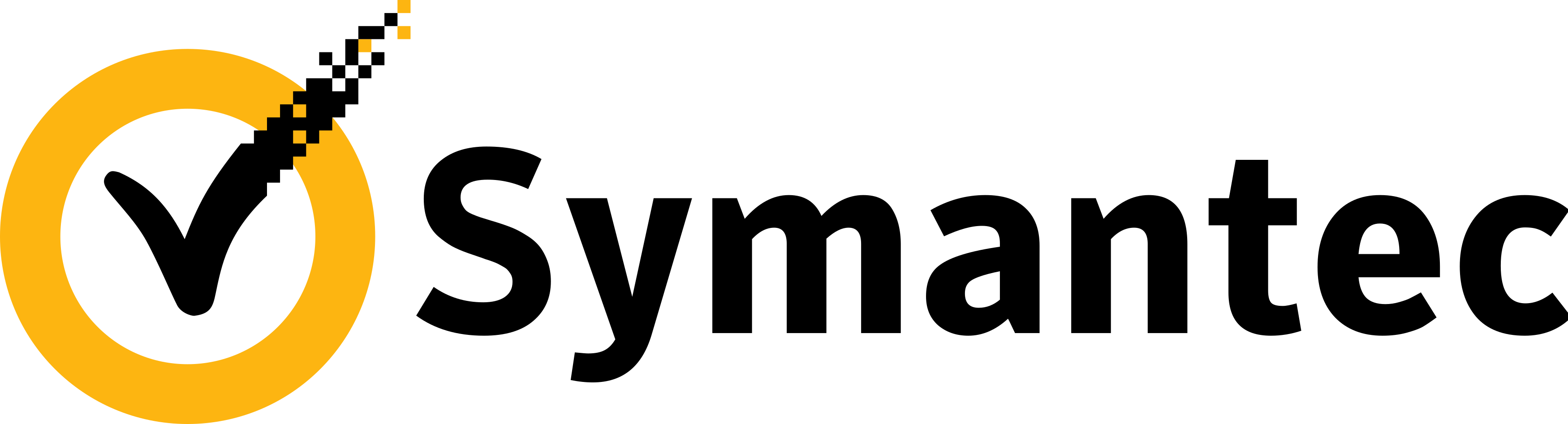Symantec logo.