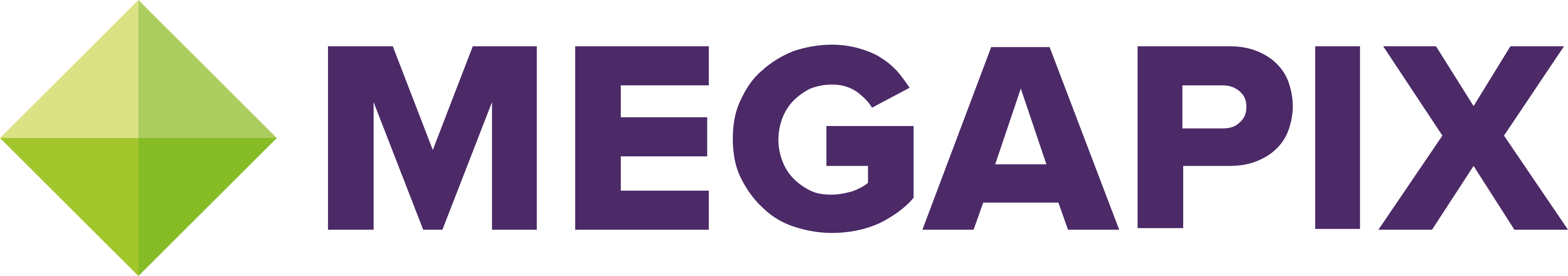 megapix logo.