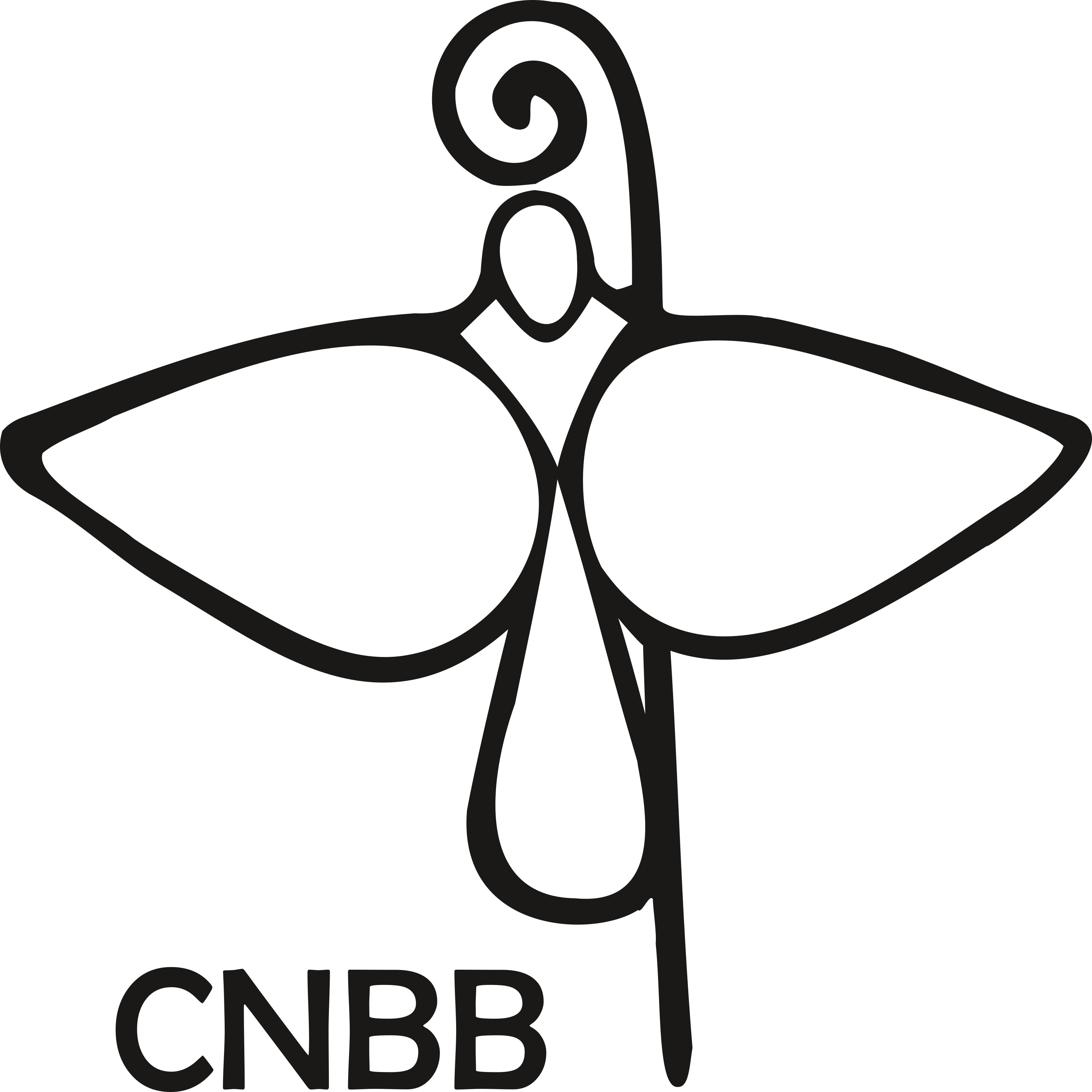 CNBB Logo.