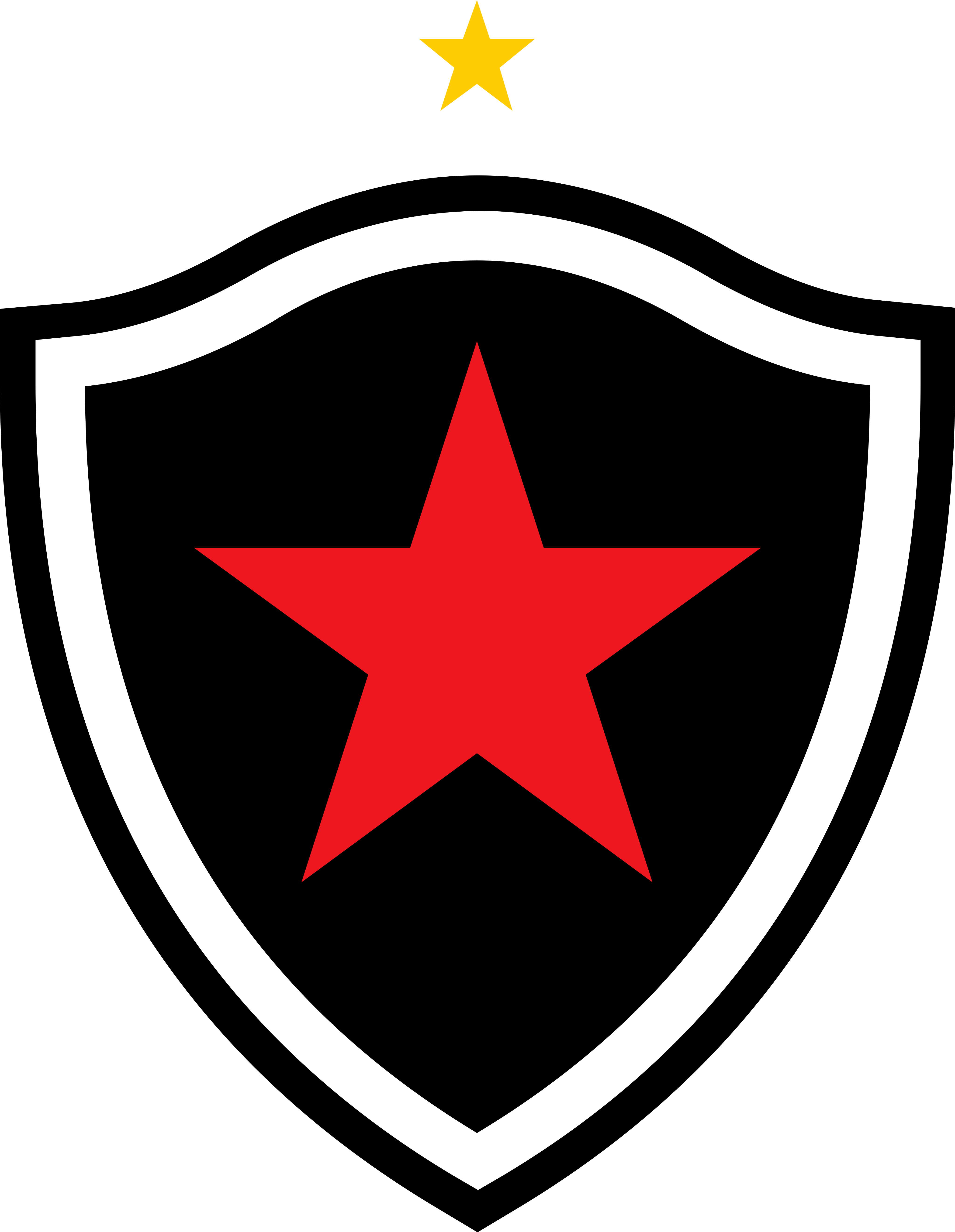 Botafogo da Paraíba Logo, Escudo.