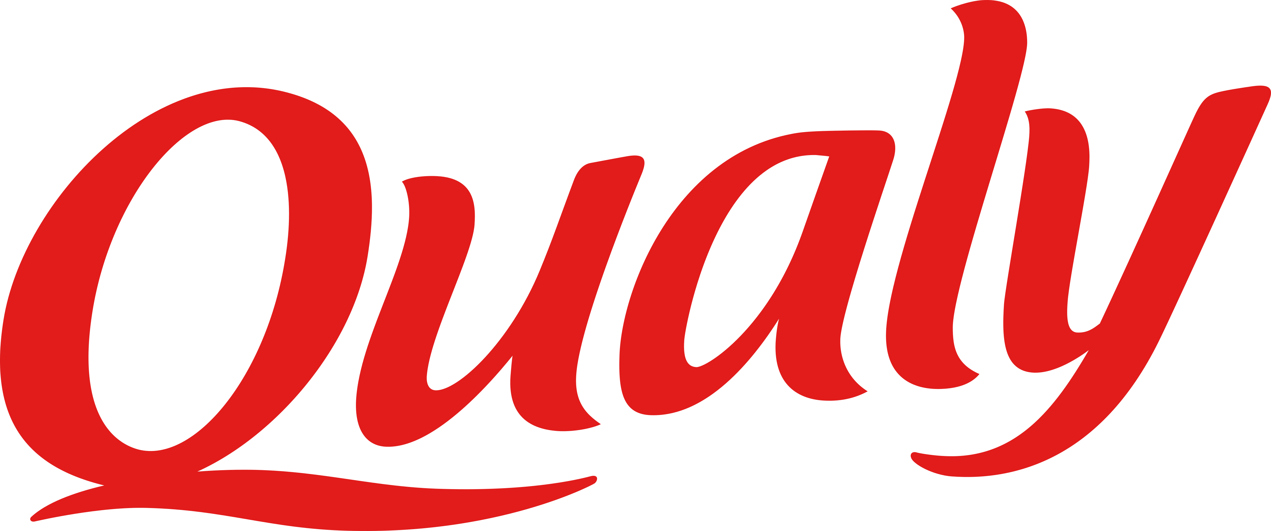 Qualyのロゴ。.