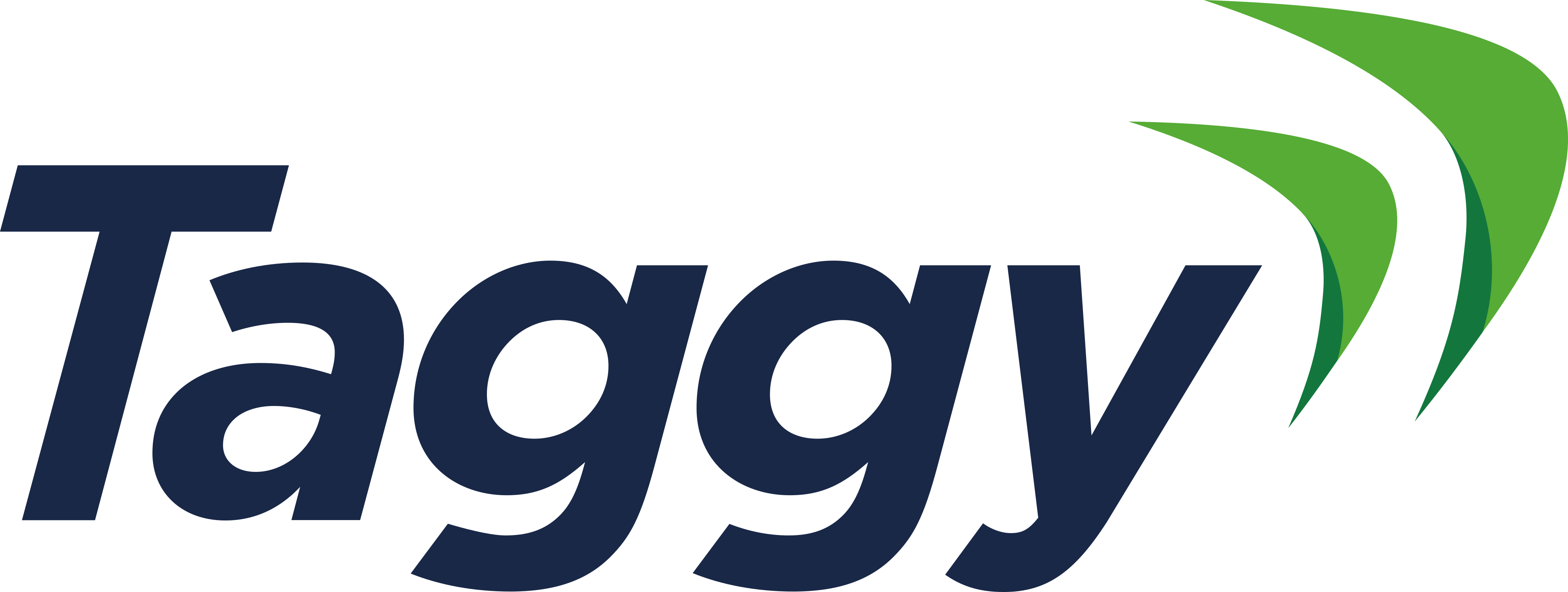 Taggy Logo.